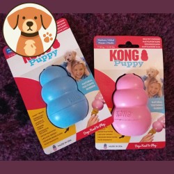 Kong Puppy