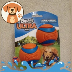 Lot de 2 balles flottantes Ultra Ball Chuckit! pour chien
