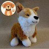 Peluche Corgi Doogy pour chien